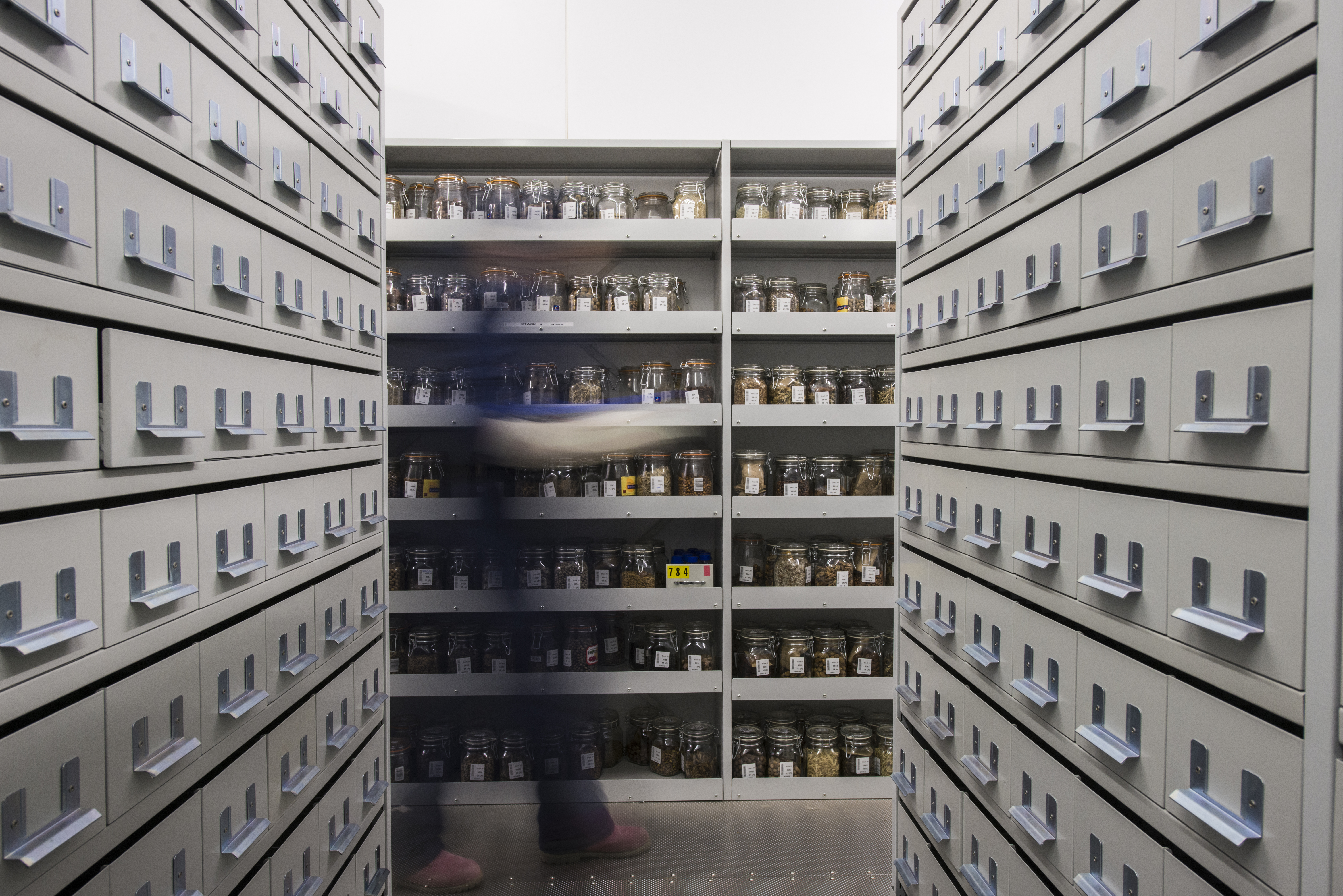 Seed Conservation