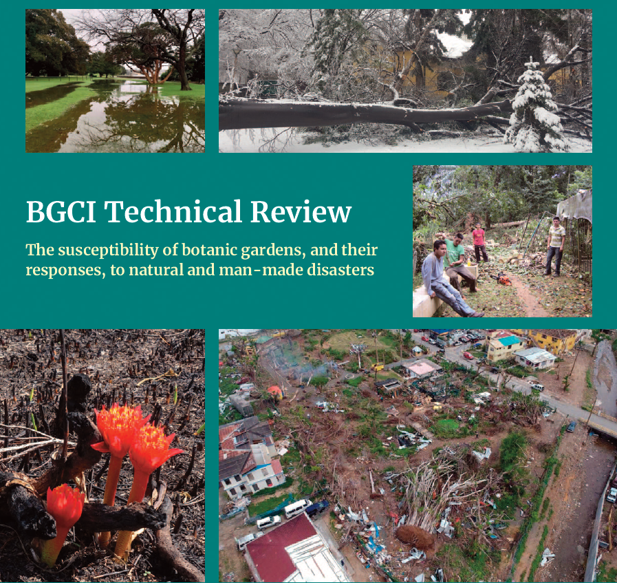 Technical review